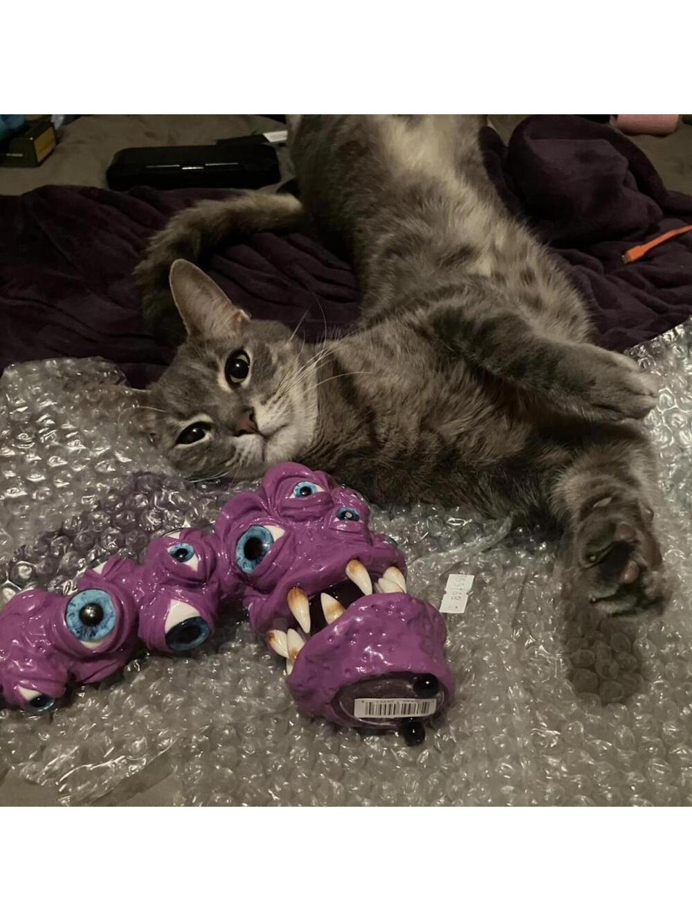Model is size meowdium. 😆